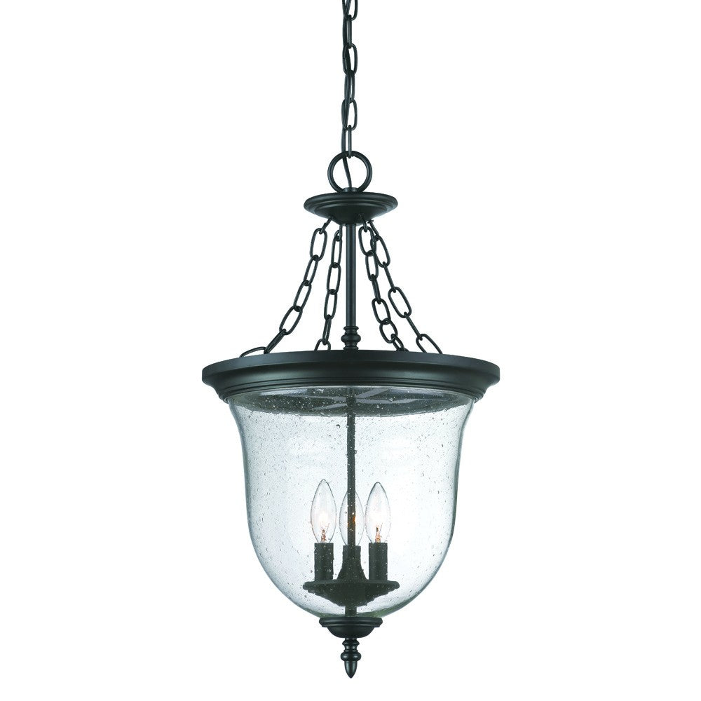 Belle 3-Light Matte black Hanging light-Chandeliers-DECOROLALA