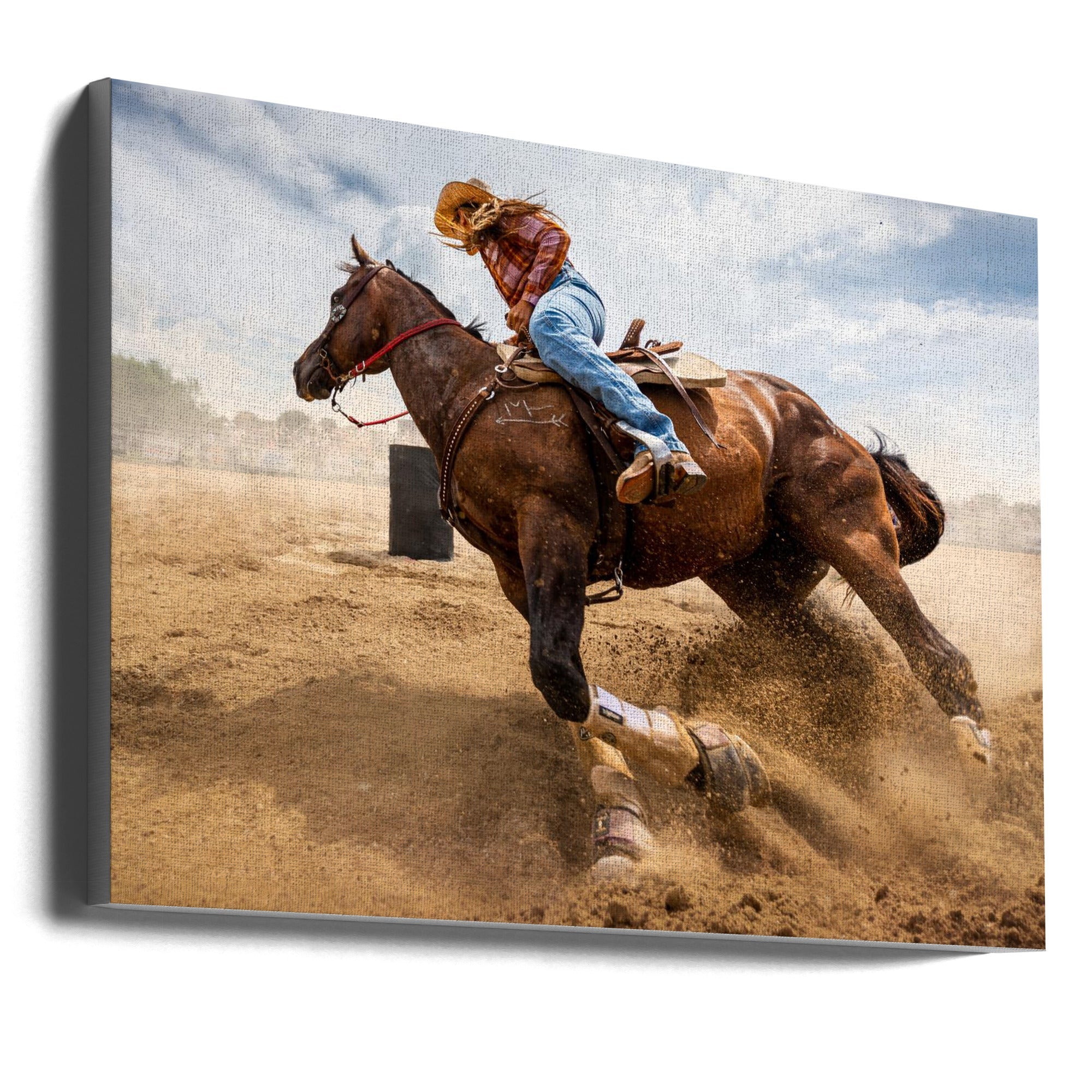 Bending Horse-Canvas Print-DECOROLALA