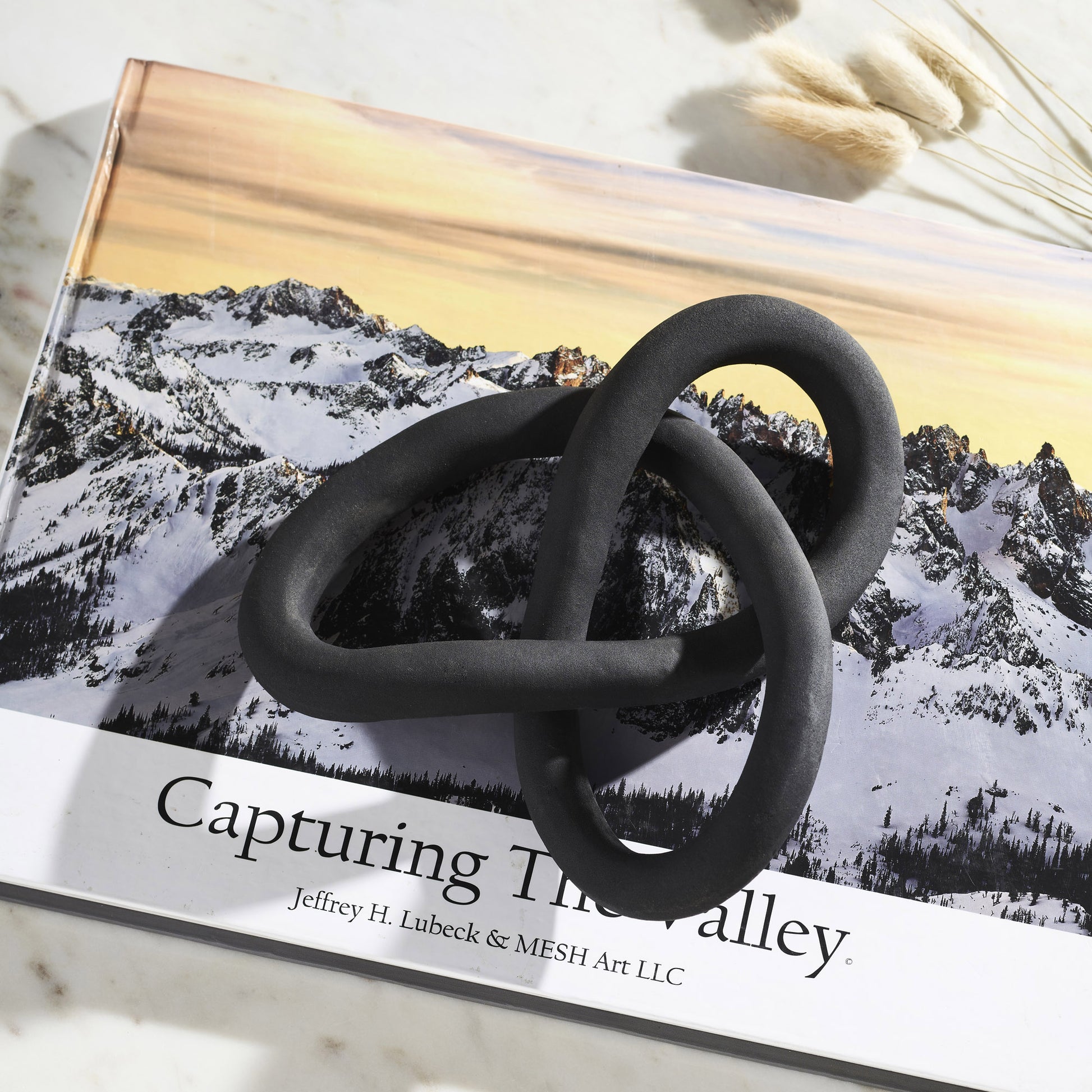 Binna Indoor Aluminum Decorative Object, Matte Black-Decorative Object-DECOROLALA