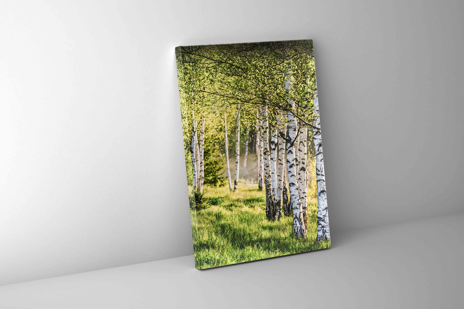 Birch Trees Fine Art Canvas Print 36x48-Canvas Print-DECOROLALA