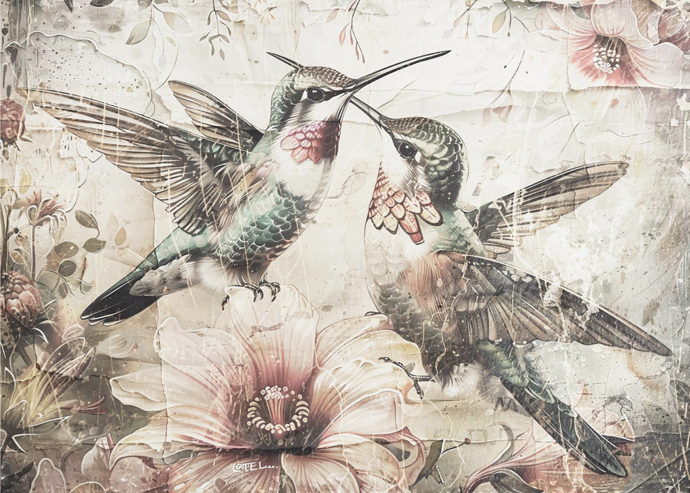 Bird Birds Animal Vintage Art Illustration Wallart 10-canvas-DECOROLALA