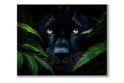 Black Jaguar Canvas Wall Art Print 48x36 Inches-Wall Art-DECOROLALA