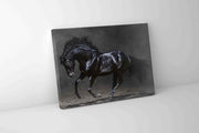 Black Majestic Horse Canvas Art 48x36 Diamond Varnish-Wall Art-DECOROLALA
