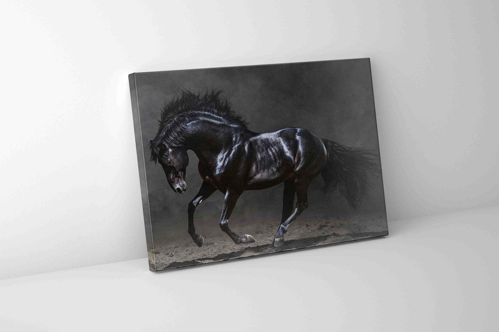 Black Majestic Horse Canvas Art 48x36 Diamond Varnish-Wall Art-DECOROLALA