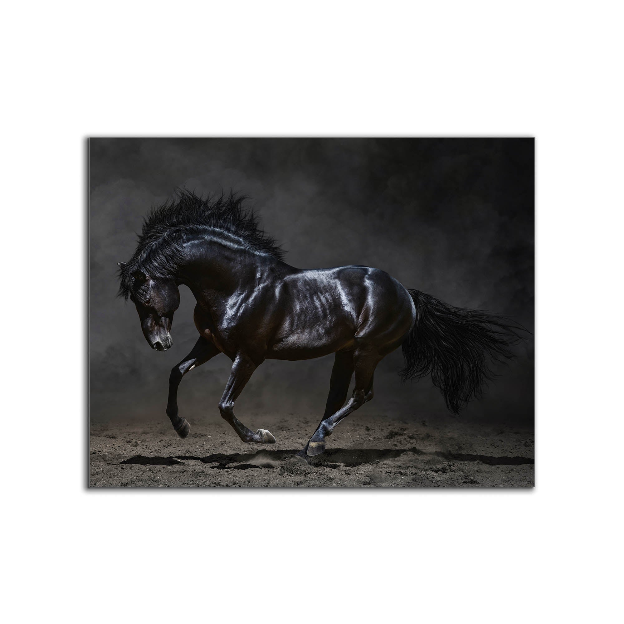 Black Majestic Horse - Wildlife Canvas Art - Diamond varnish-Wall Art-DECOROLALA