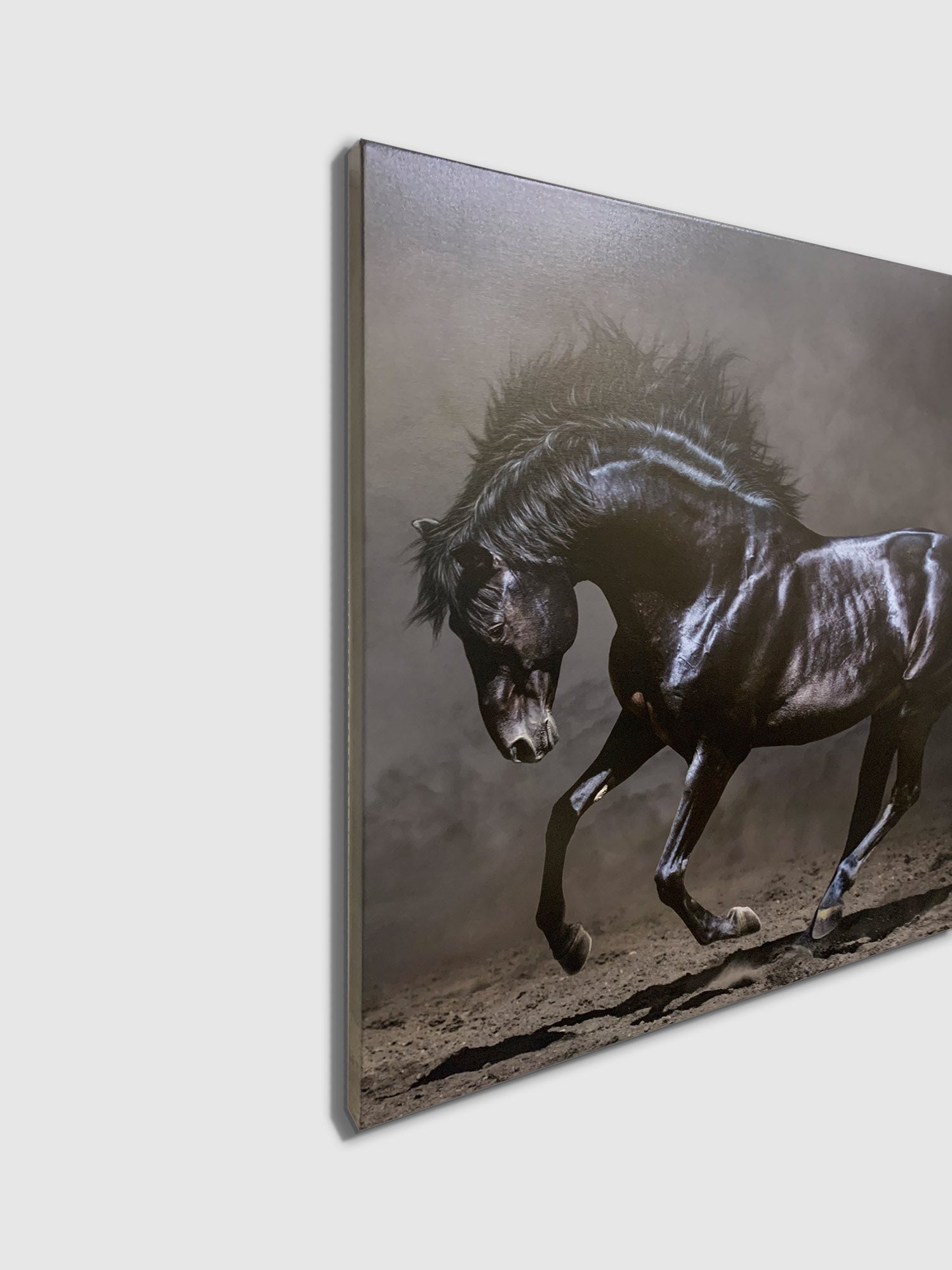 Black Majestic Horse - Wildlife Canvas Art - Diamond varnish-Wall Art-DECOROLALA