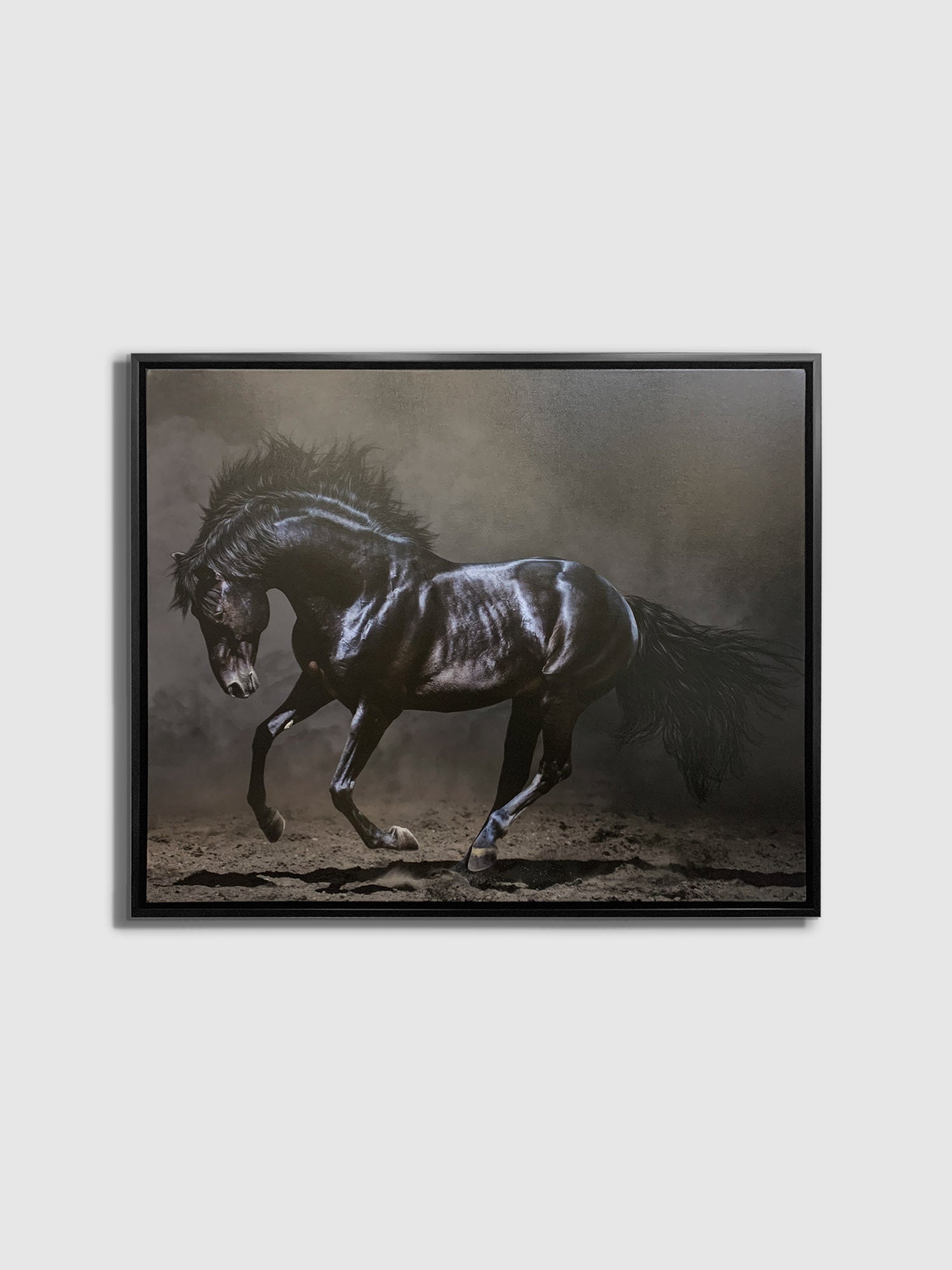 Black Majestic Horse - Wildlife Canvas Art - Diamond varnish-Wall Art-DECOROLALA