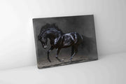 Black Majestic Horse - Wildlife Canvas Art - Diamond varnish-Wall Art-DECOROLALA
