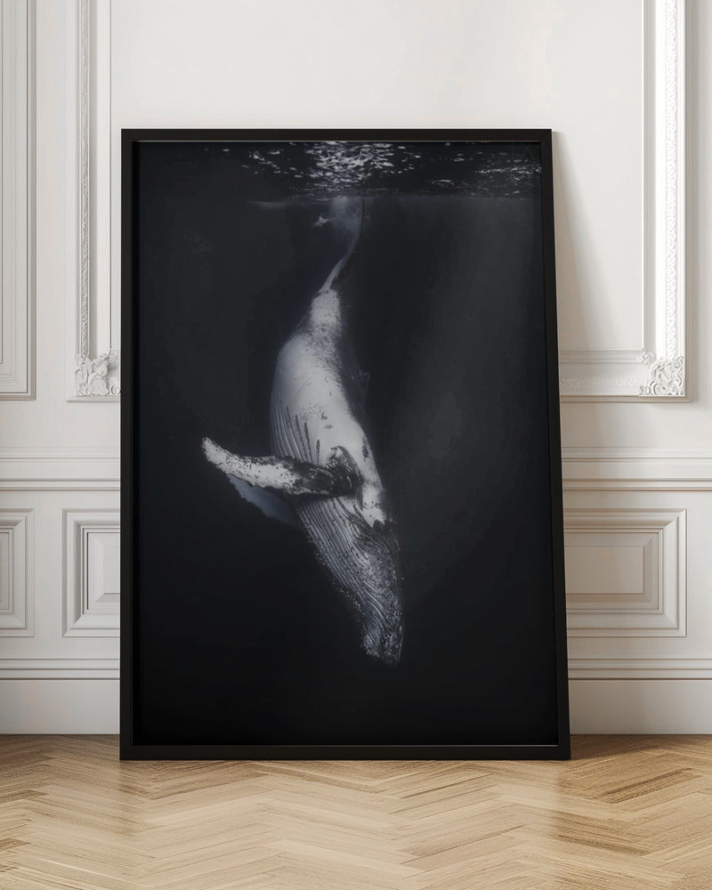 Black Whale Wall Art by Barathieu Gabriel-canvas-DECOROLALA