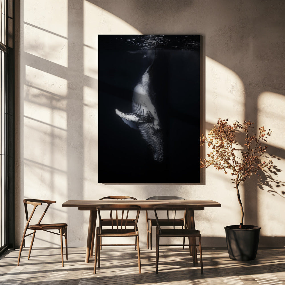 Black Whale Wall Art by Barathieu Gabriel-canvas-DECOROLALA