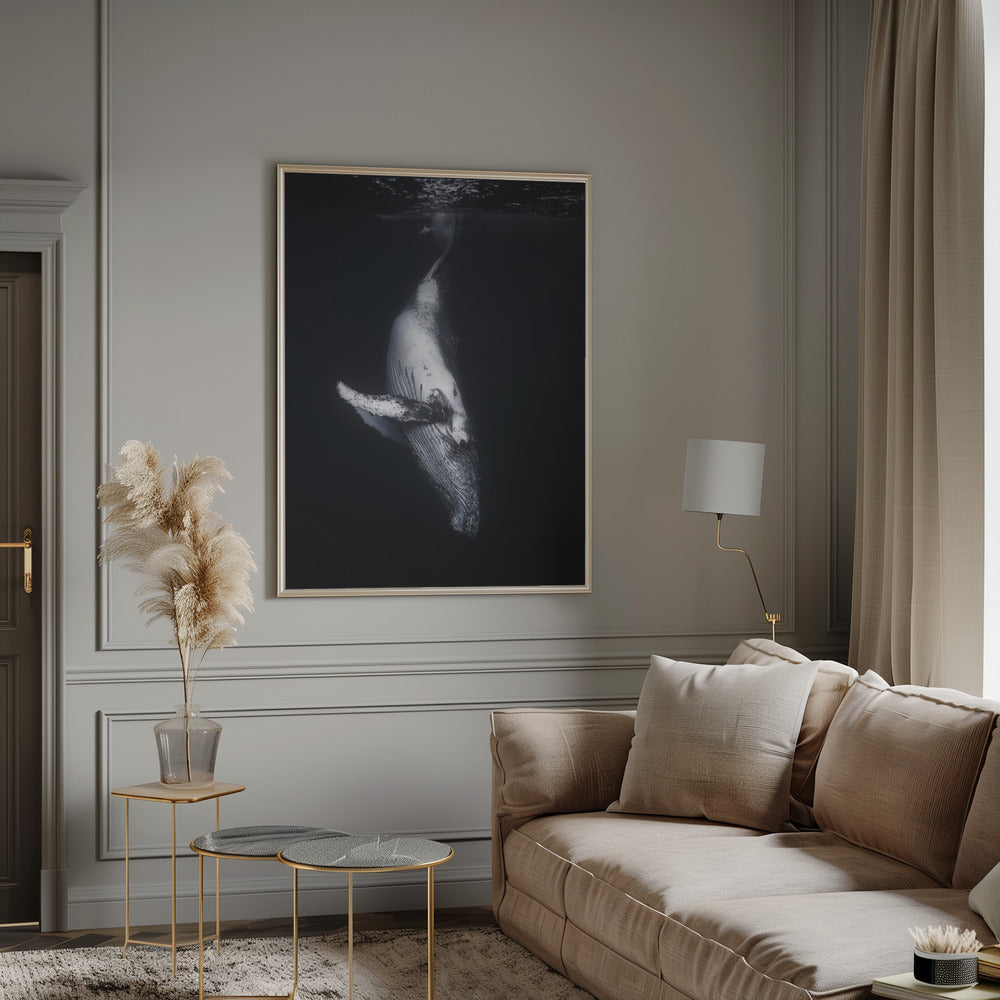 Black Whale Wall Art by Barathieu Gabriel-canvas-DECOROLALA