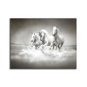 Black and White Stallions - Animal Print Canvas-Fine Art-Canvas Print-DECOROLALA