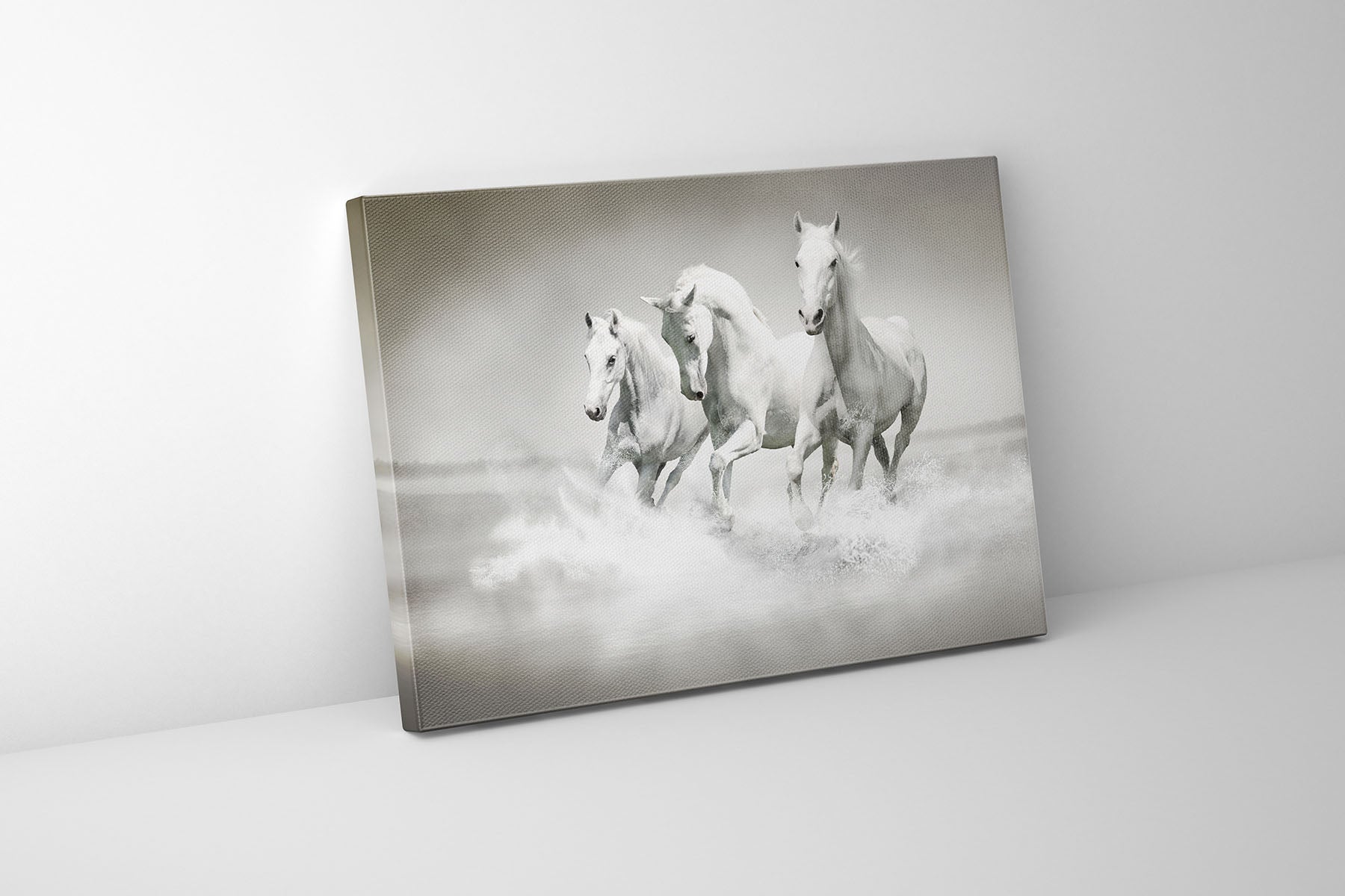 Black and White Stallions Canvas Print 48x36-Canvas Print-DECOROLALA