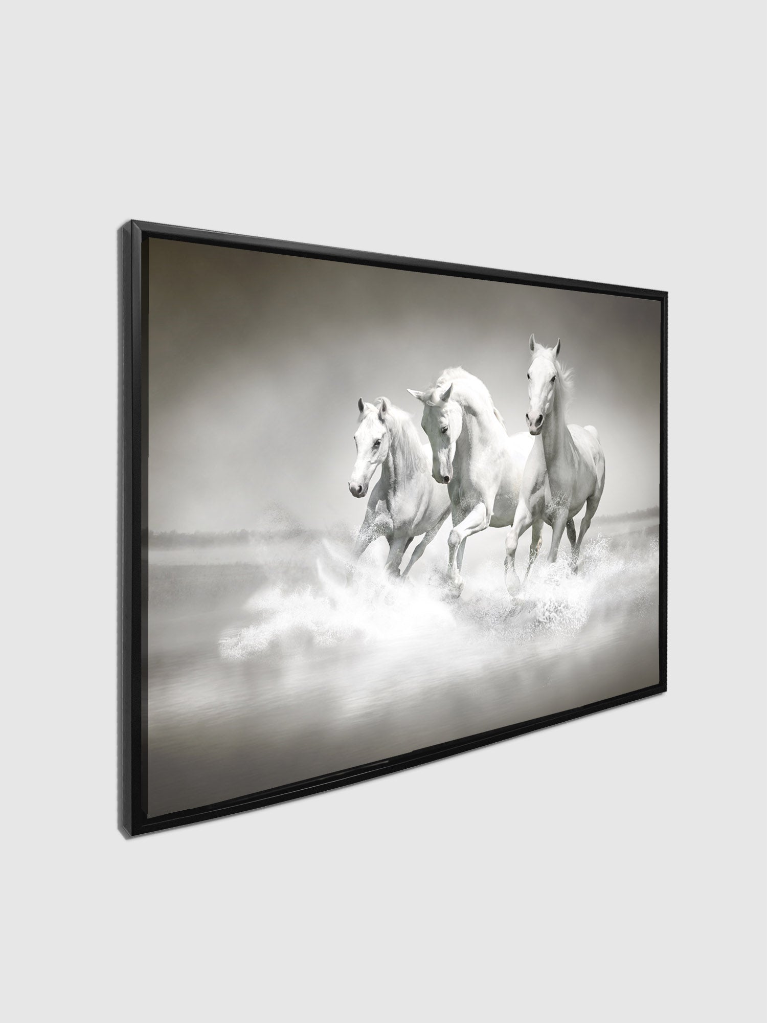 Black and White Stallions Canvas Print 48x36-Canvas Print-DECOROLALA