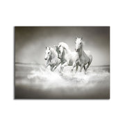 Black and White Stallions Canvas Print 48x36-Canvas Print-DECOROLALA