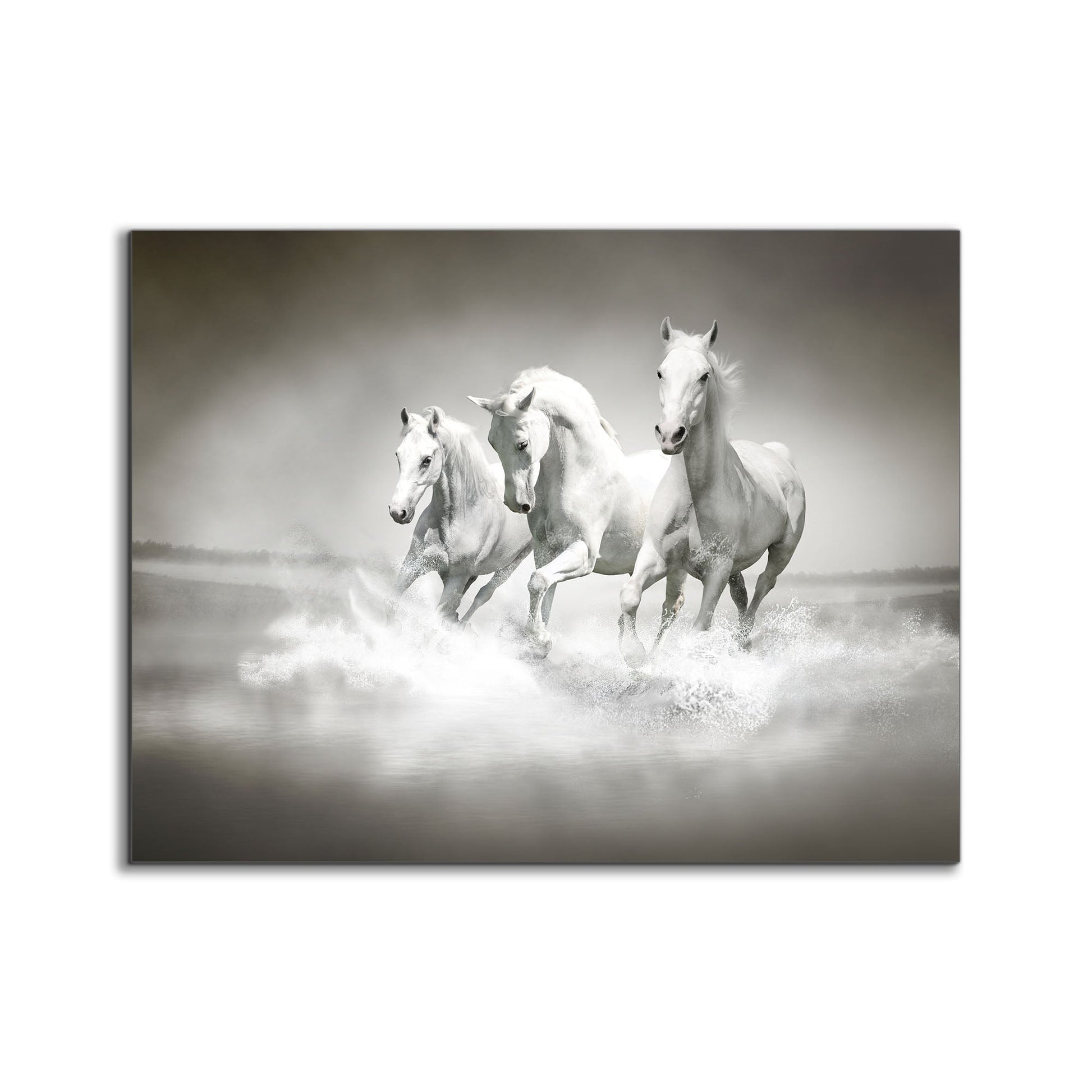 Black and White Stallions Canvas Print 48x36-Canvas Print-DECOROLALA