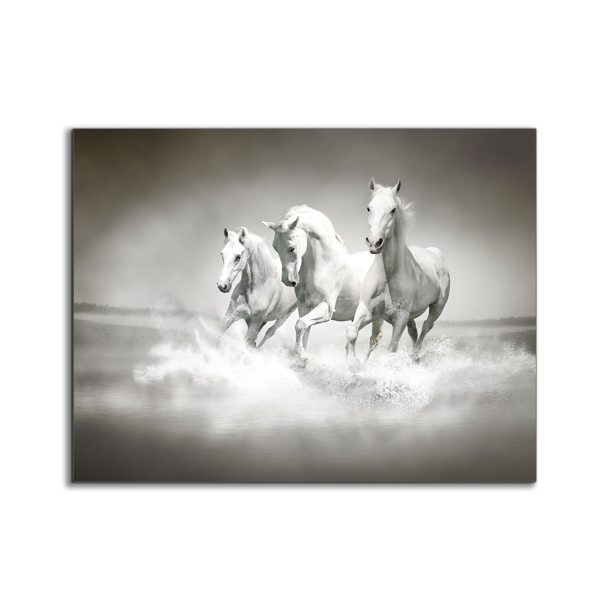 Black and White Stallions Canvas Print 48x36-Canvas Print-DECOROLALA