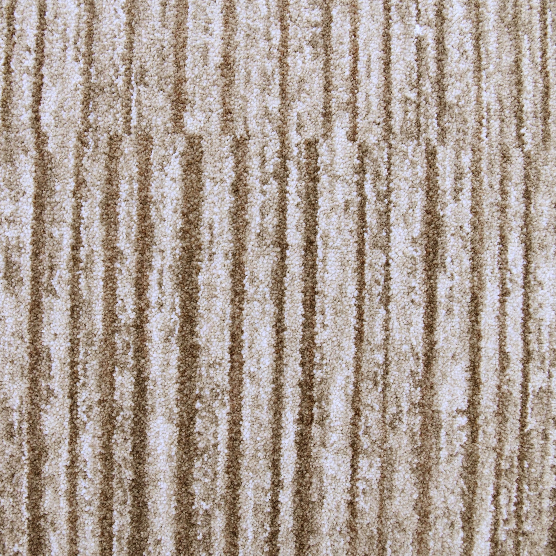 Blake Neutral Area Rug-DECOROLALA