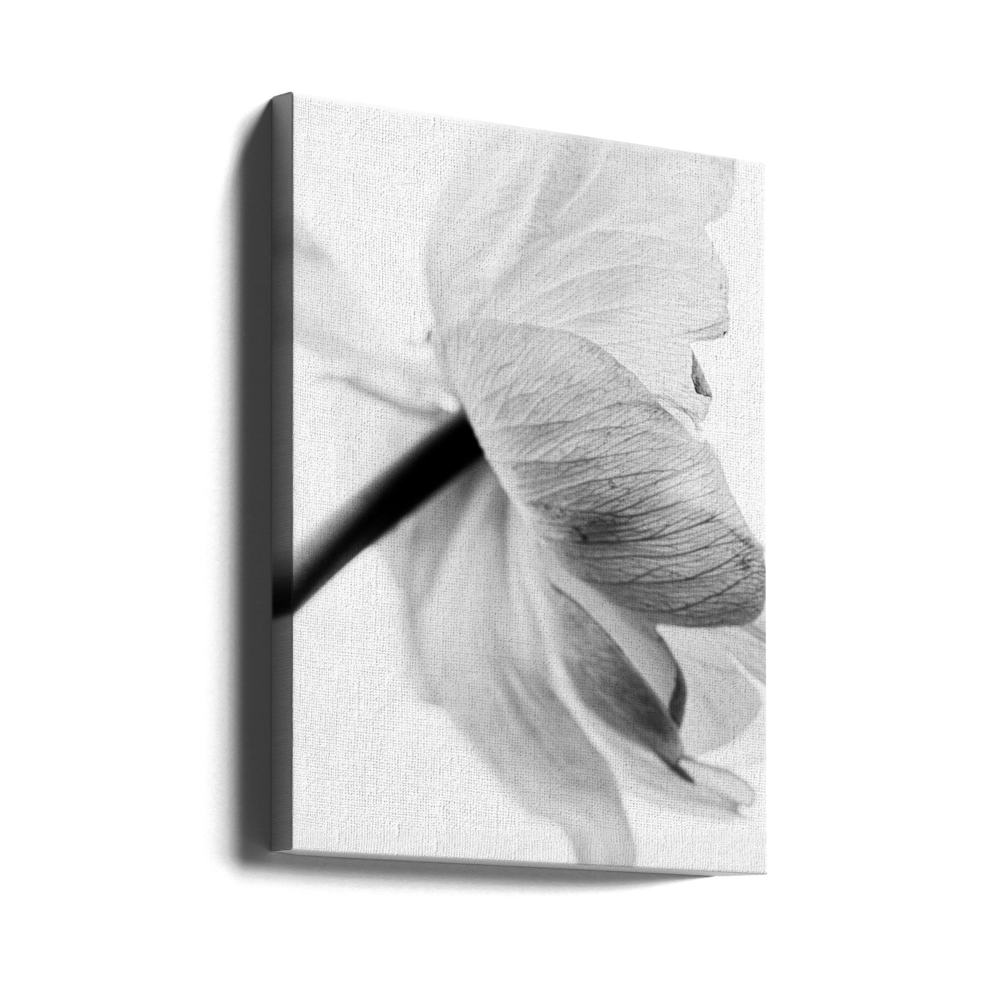 Blooming Flower Wall Art by Magda Izzard-canvas-DECOROLALA