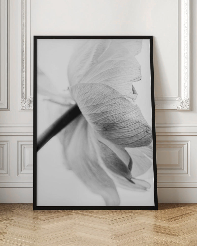 Blooming Flower Wall Art by Magda Izzard-canvas-DECOROLALA