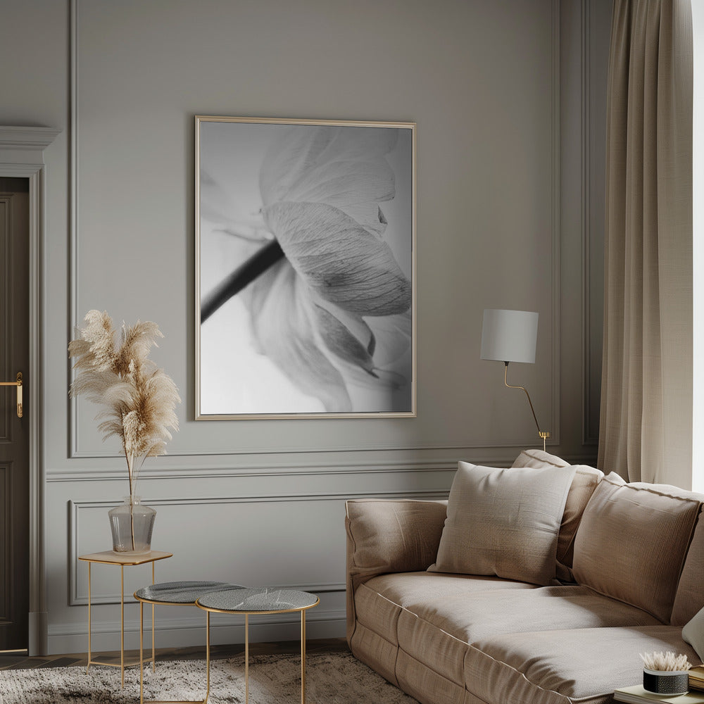 Blooming Flower Wall Art by Magda Izzard-canvas-DECOROLALA