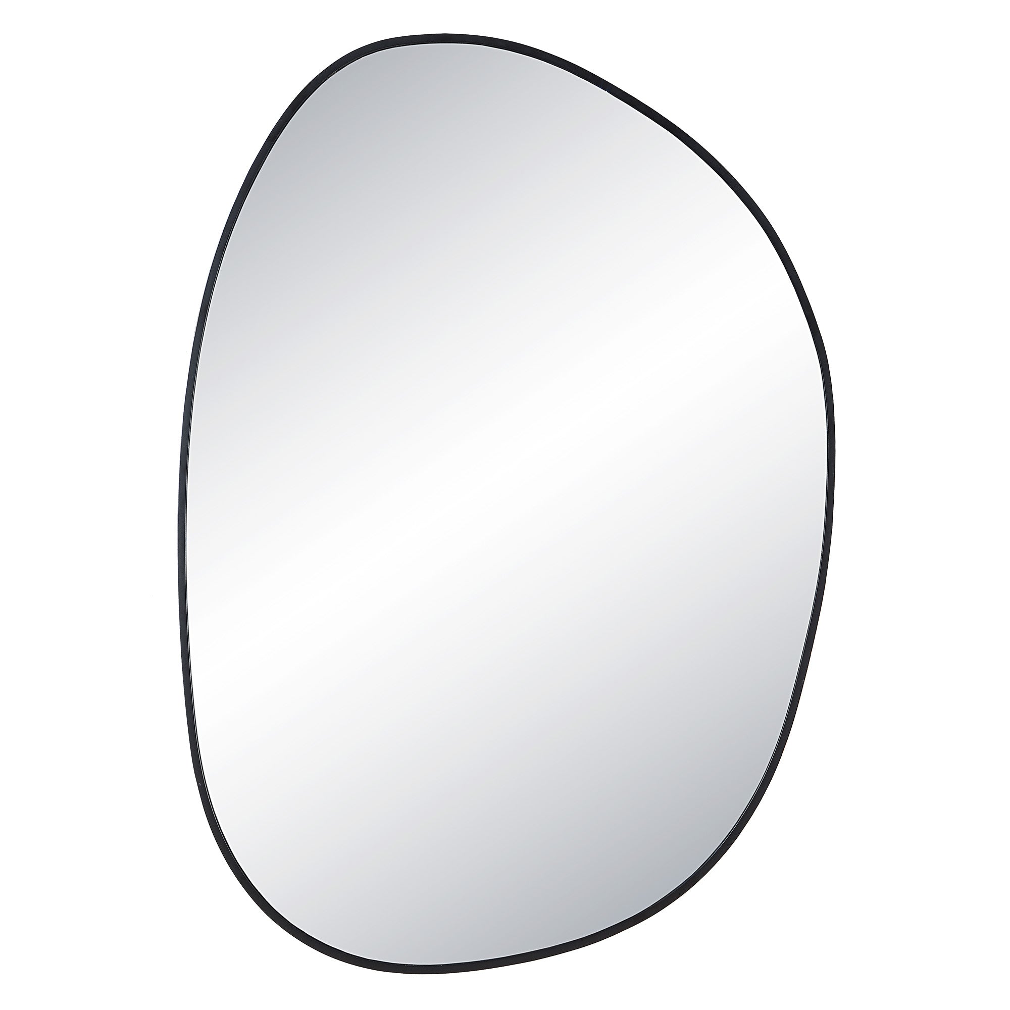 Bozeman 42" Tall Oval Wall Mirror, Black-Mirror-DECOROLALA