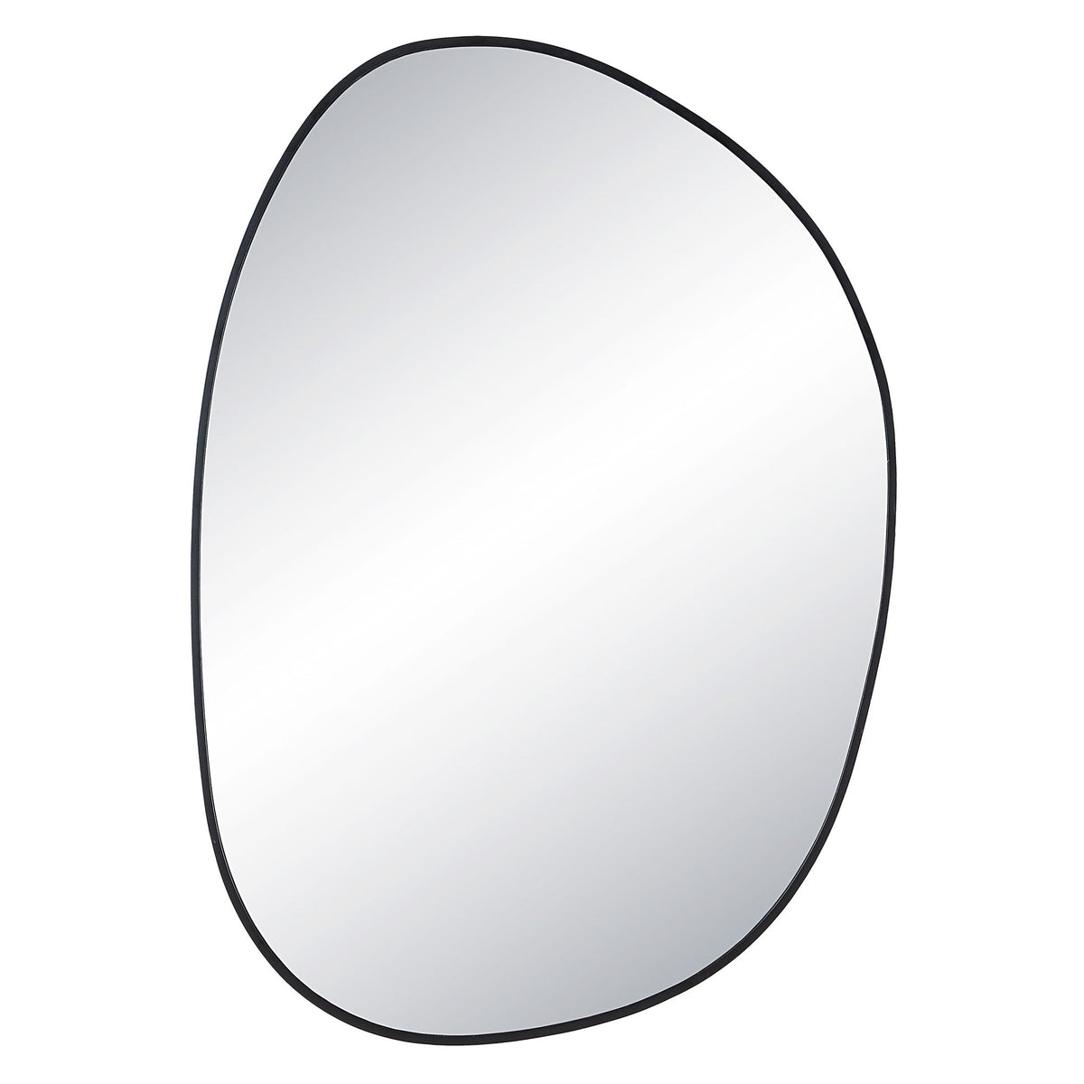 Bozeman 42" Tall Oval Wall Mirror, Black-Mirrors-DECOROLALA