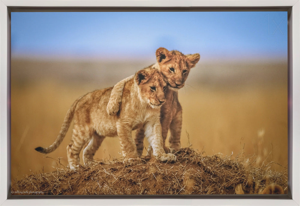 Brothers for Life-Canvas Print-DECOROLALA