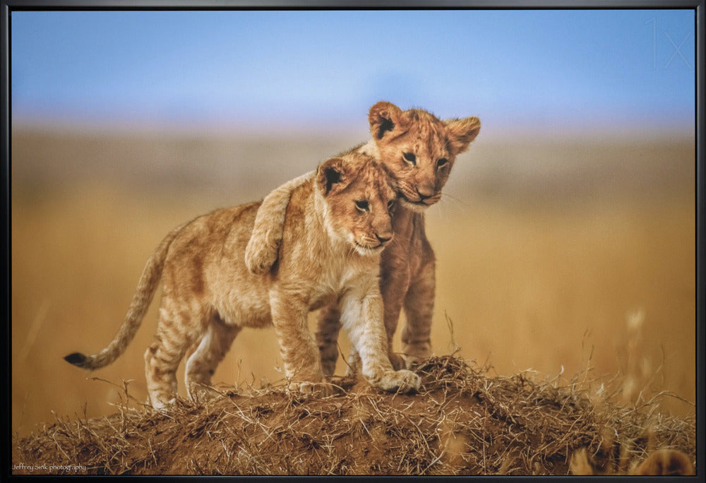 Brothers for Life by Jeffrey C. Sink-Canvas Print-DECOROLALA
