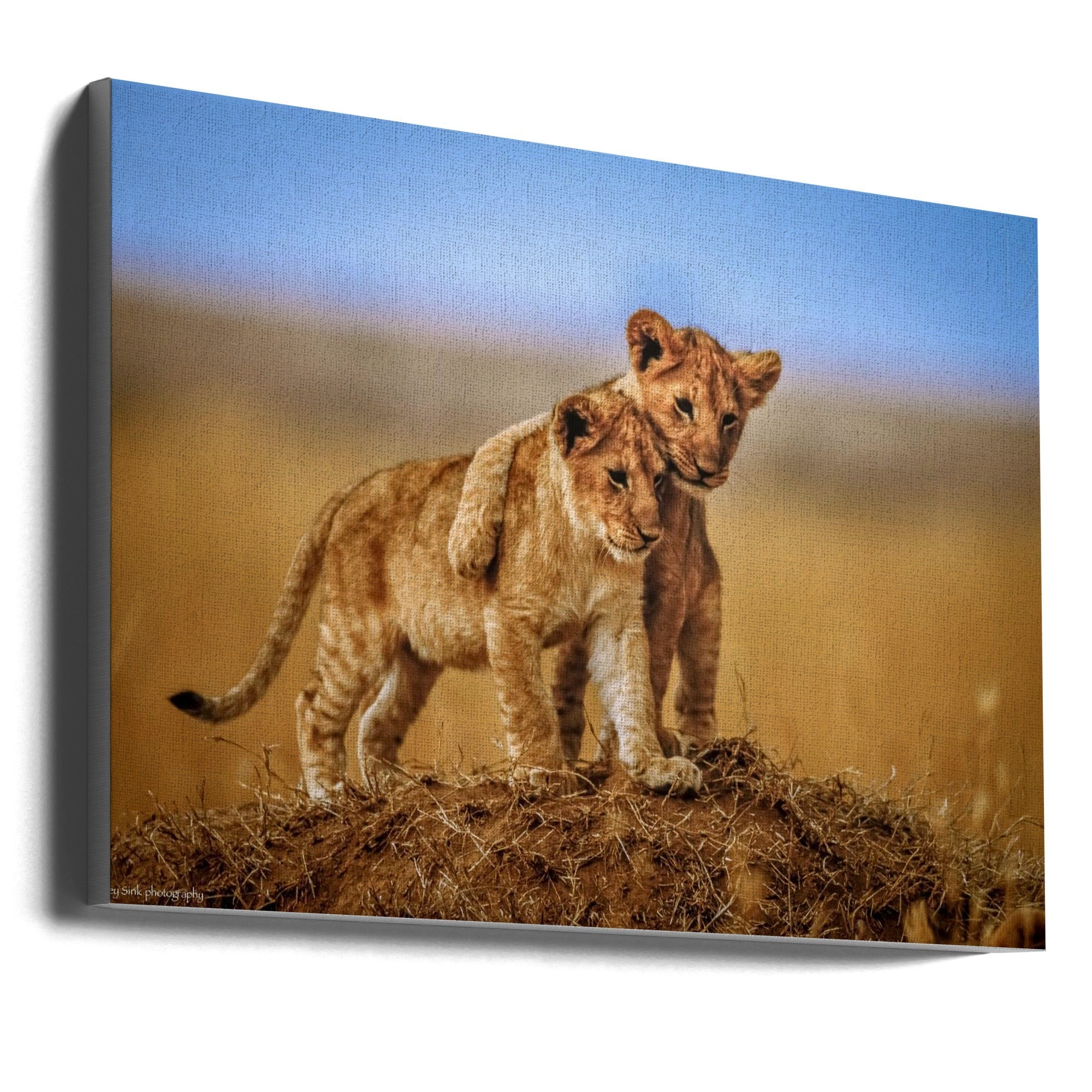 Brothers for Life by Jeffrey C. Sink-Canvas Print-DECOROLALA