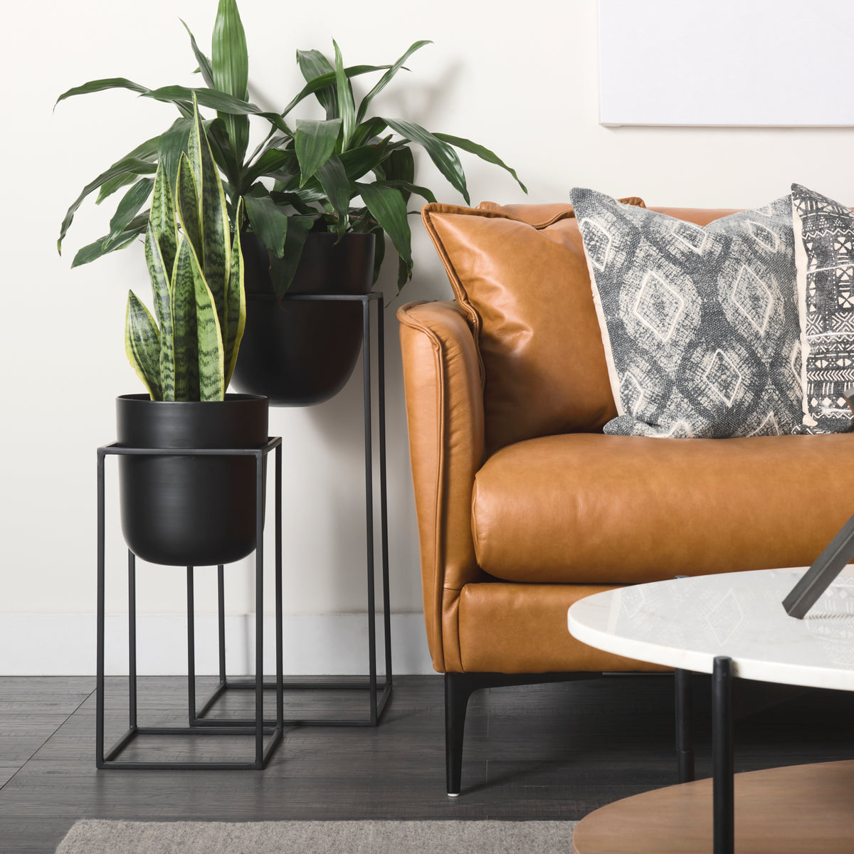 Bumble Plant Stands - Black Set of 2 12x12x32"-Plant & Magazine Racks-DECOROLALA