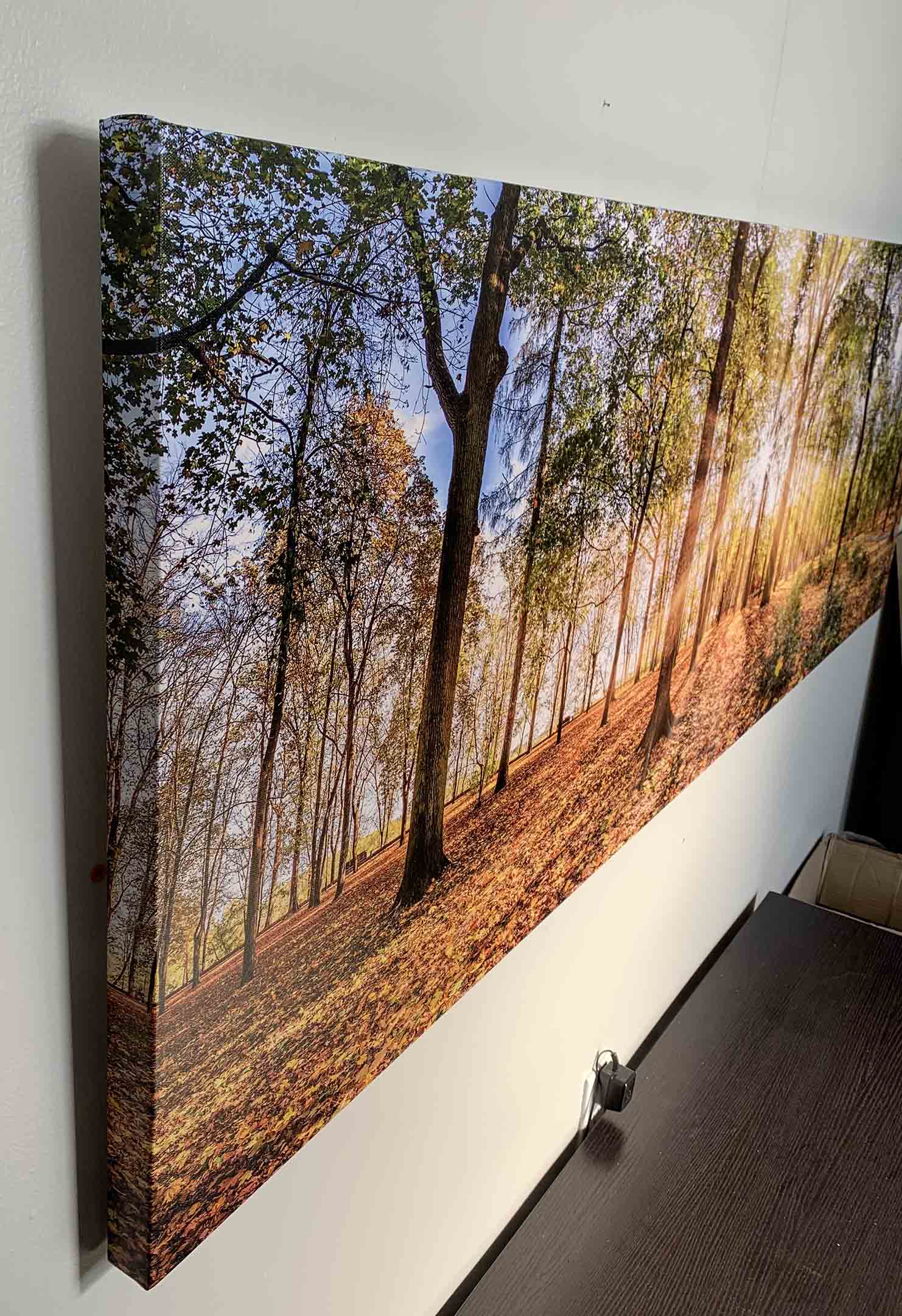 Canvas Print Autumn Trees 72x24 Wall Art-Wall Art-DECOROLALA