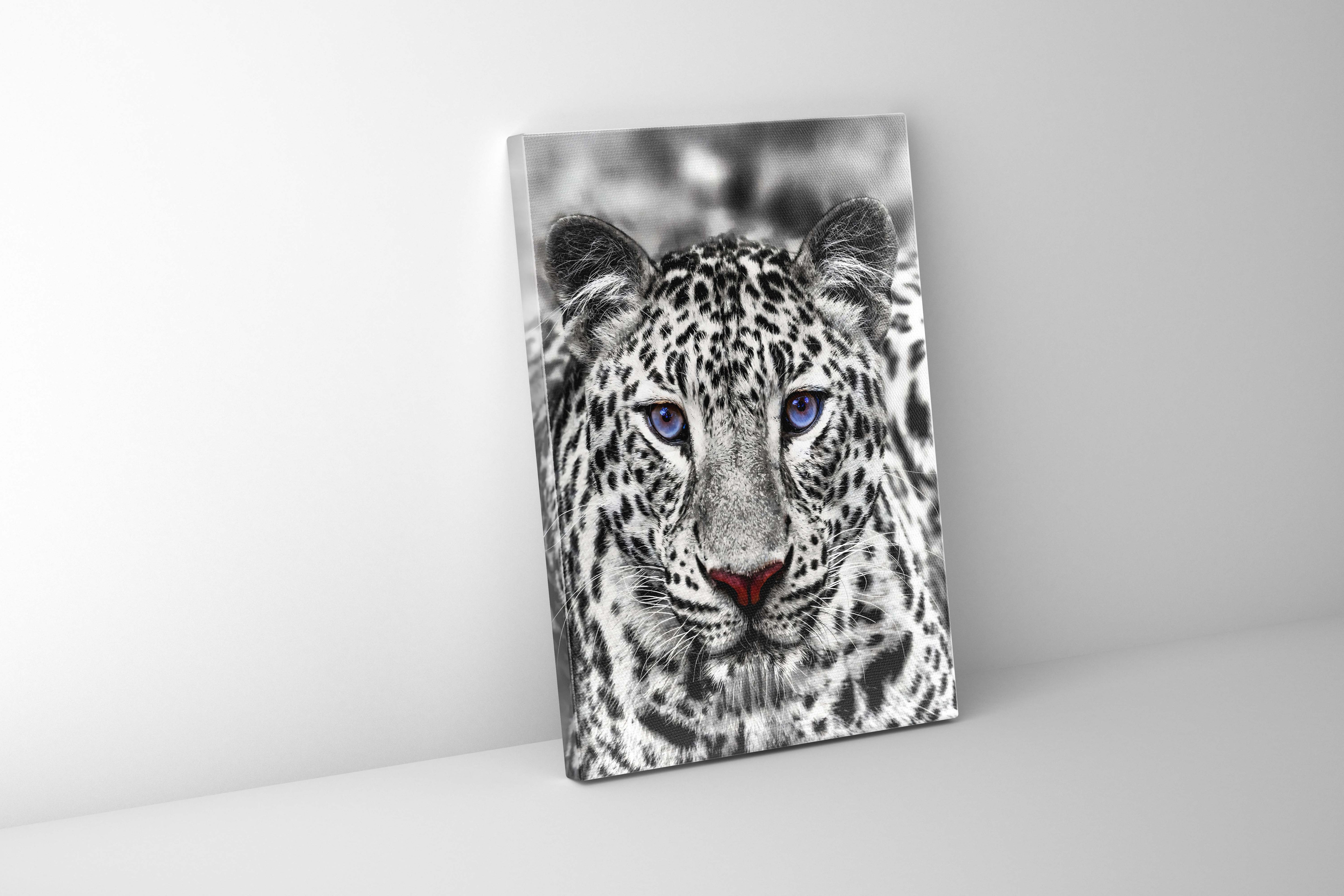Canvas Print Blue Eyed White Tiger 48x36 inches-Wall Art-DECOROLALA