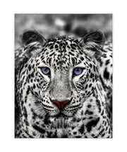 Canvas Print Blue Eyed White Tiger 48x36 inches-Wall Art-DECOROLALA
