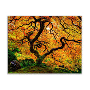Canvas Print Orange Tree Nature Artwork 48x36-Wall Art-DECOROLALA