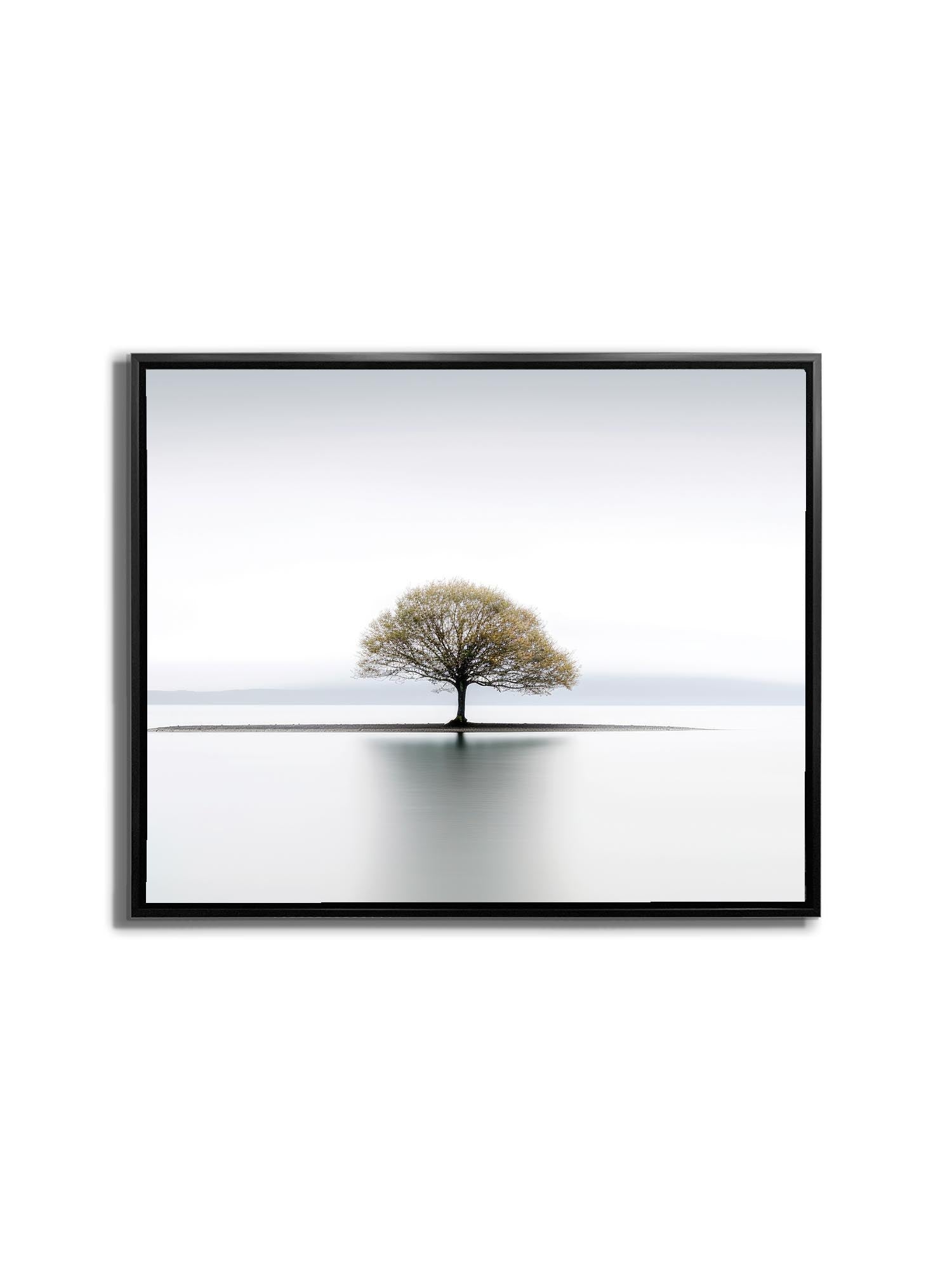 Canvas Print Solitude Wall Art Diamond Varnish-Wall Art-DECOROLALA