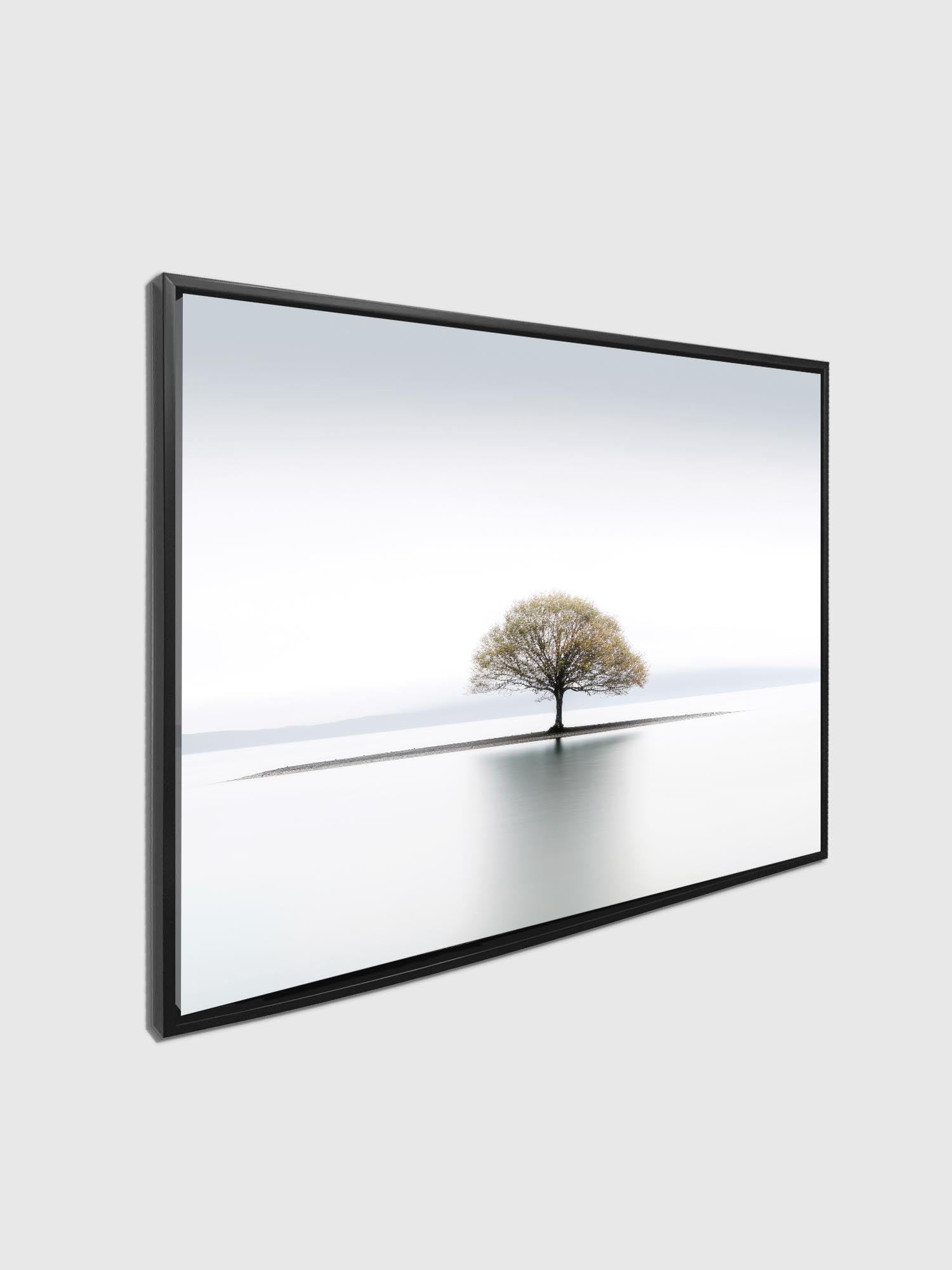 Canvas Print Solitude Wall Art Diamond Varnish-Wall Art-DECOROLALA