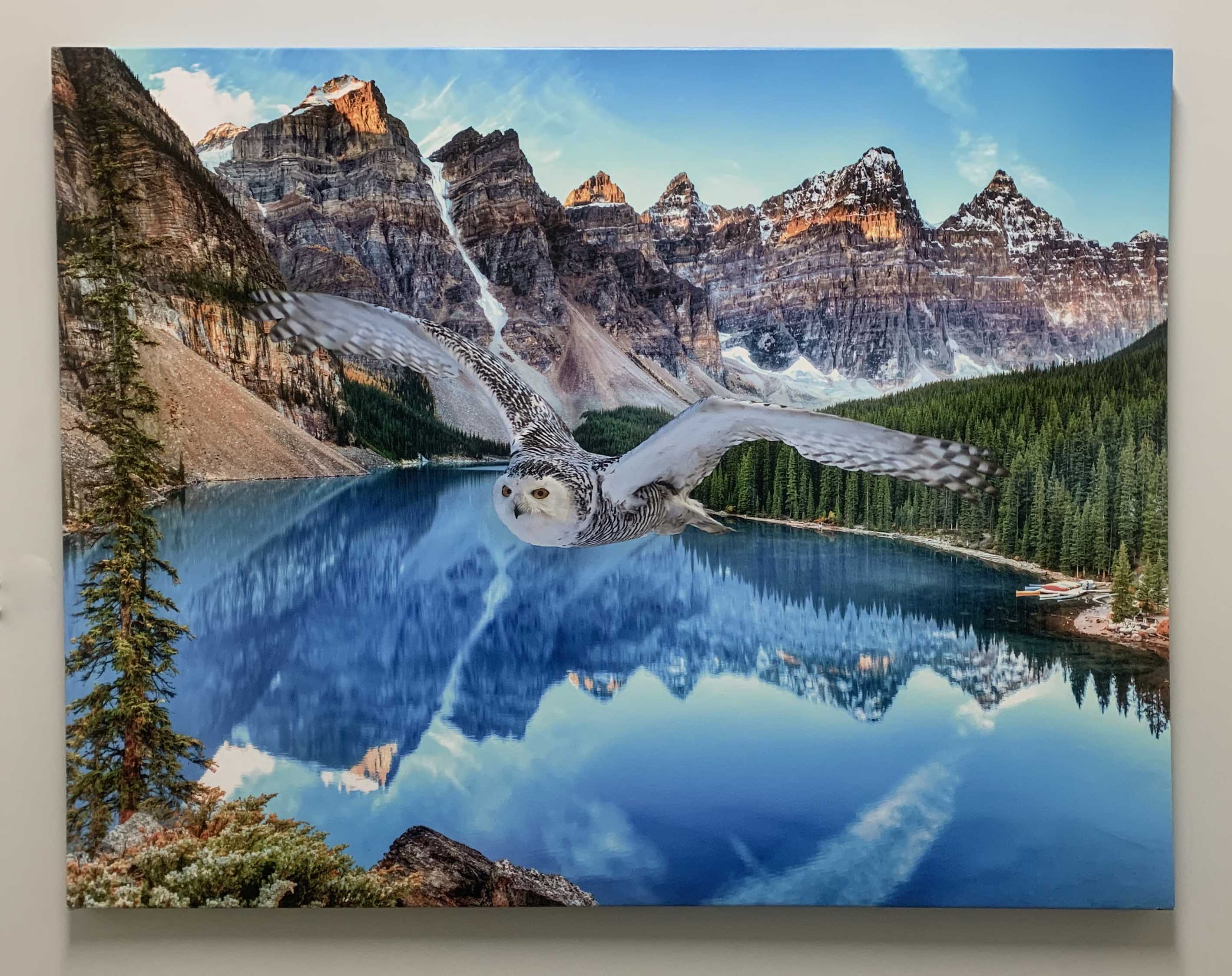 Canvas Wildlife Art - Snowy Owl at Banff 48x36-Wall Art-DECOROLALA
