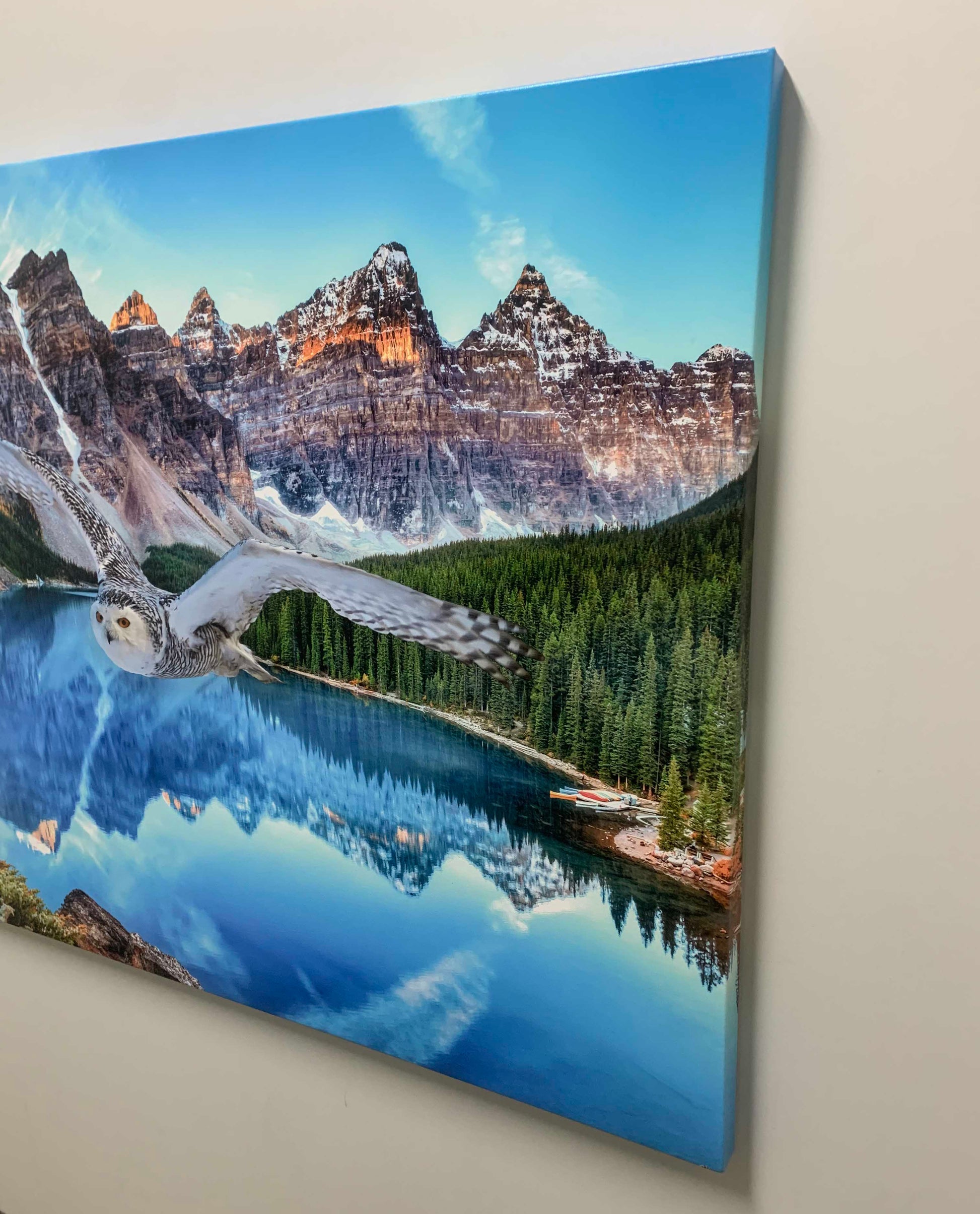 Canvas Wildlife Art - Snowy Owl at Banff 48x36-Wall Art-DECOROLALA