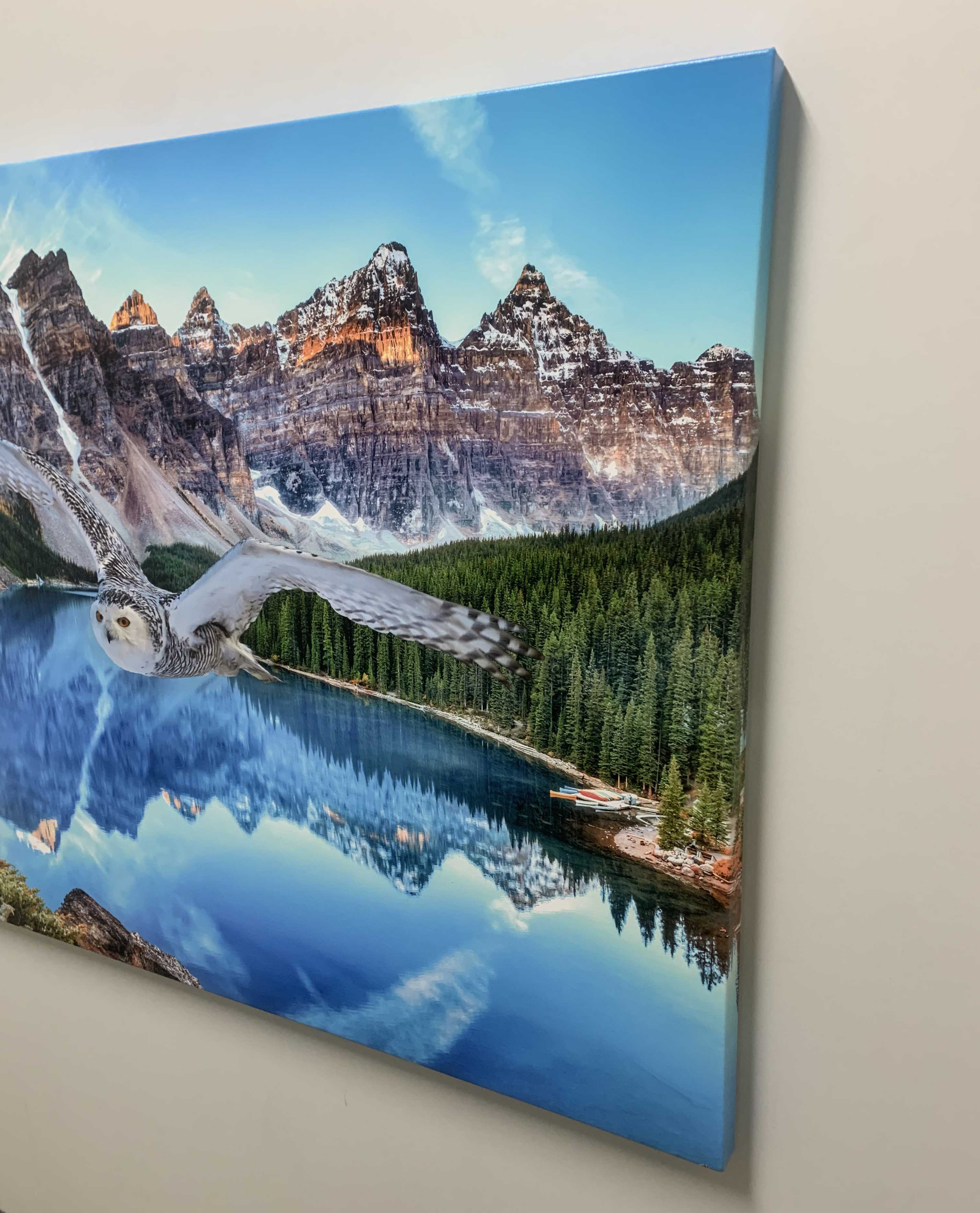 Canvas Wildlife Art - Snowy Owl at Banff 48x36-Wall Art-DECOROLALA
