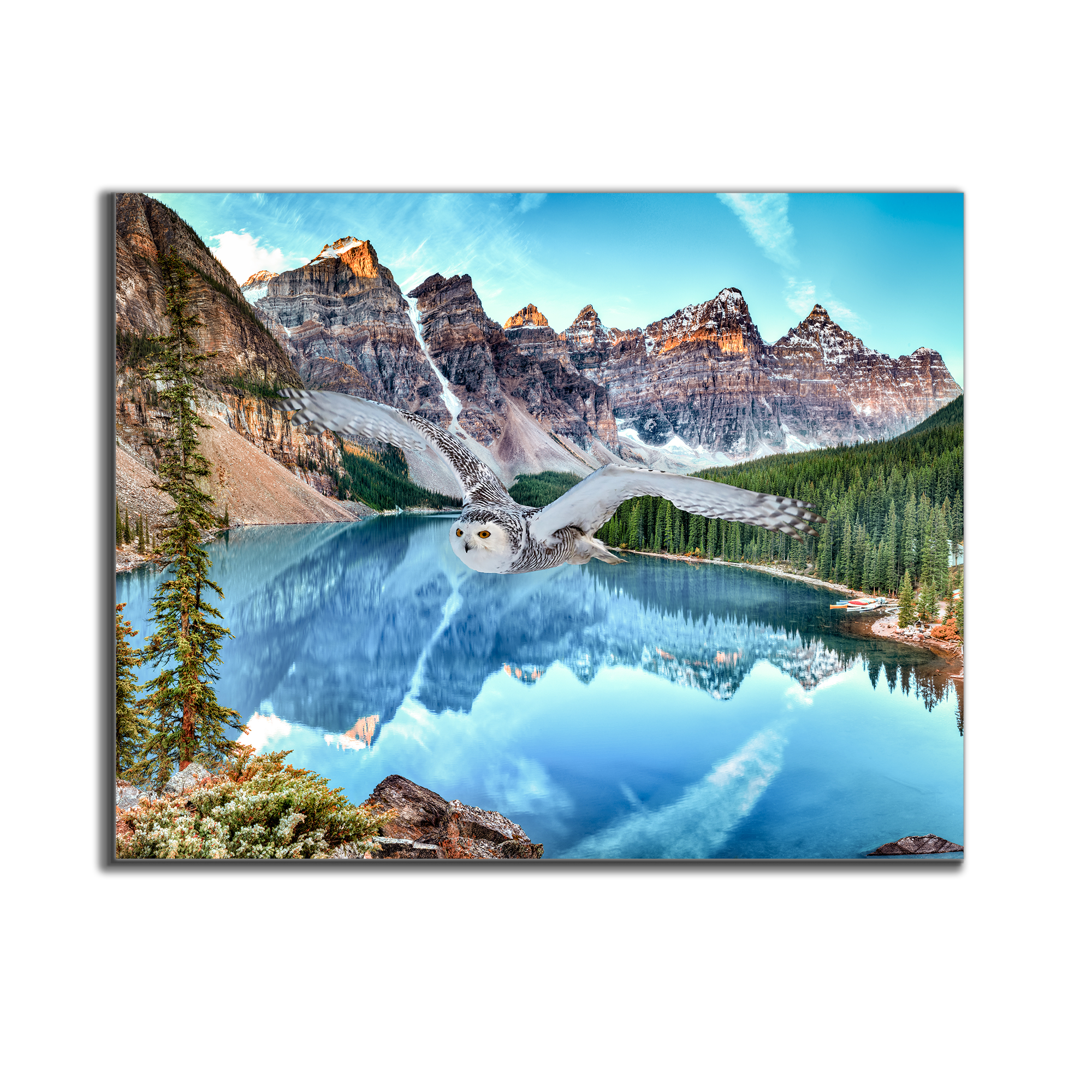 Canvas Wildlife Art - Snowy Owl at Banff 48x36-Wall Art-DECOROLALA
