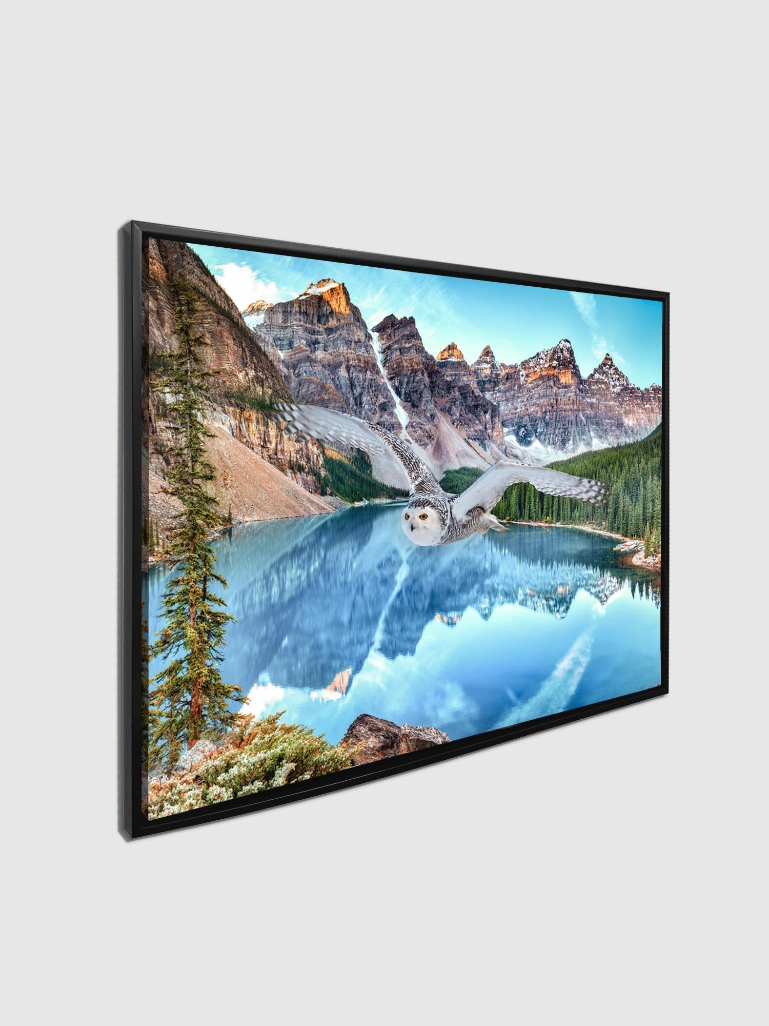 Canvas Wildlife Art-Snowy Owl at Banff-Printed Artwork-Wall Art-DECOROLALA