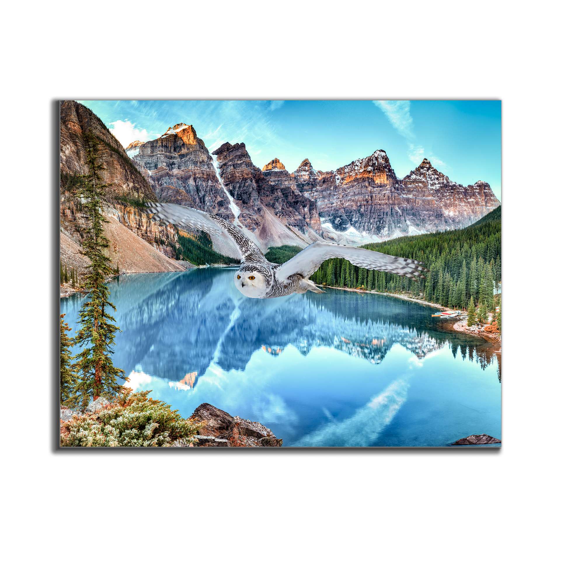 Canvas Wildlife Art-Snowy Owl at Banff-Printed Artwork-Wall Art-DECOROLALA