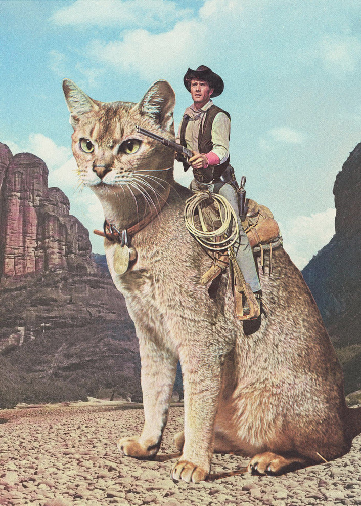 Cat Lone Ranger Wall Art by Vertigo Artography-canvas-DECOROLALA