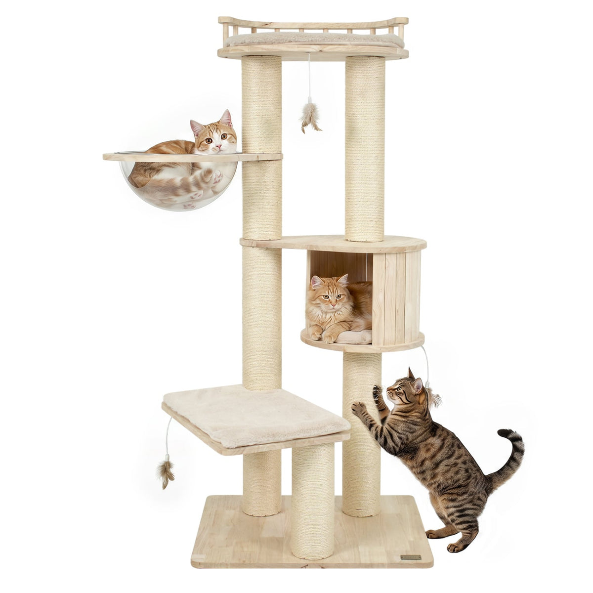 Cat Tree for Indoor Kittens with Top Perch Condo Space and 3 Hanging Feather Toys-Beige-Cat Trees & Scratchers-DECOROLALA