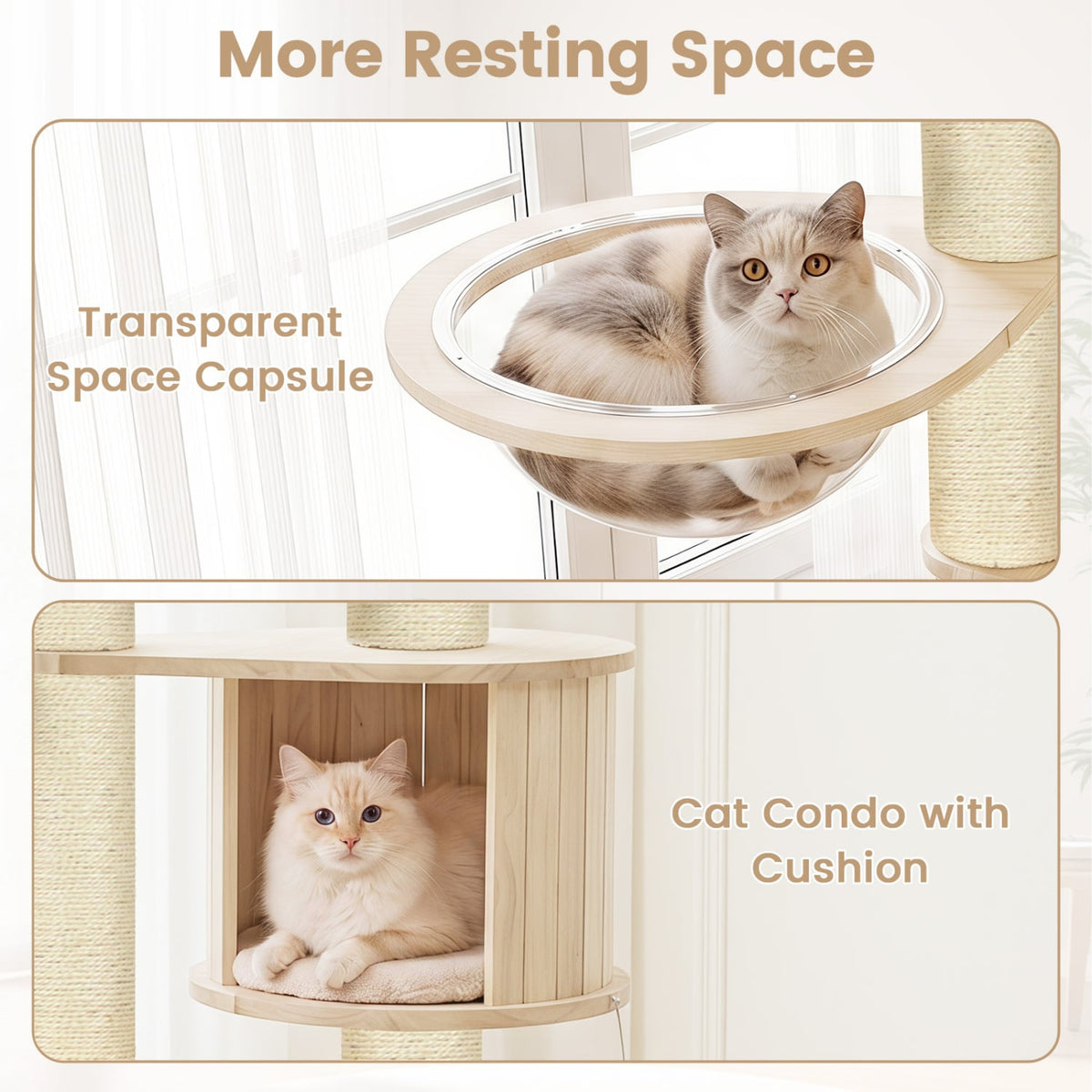 Cat Tree for Indoor Kittens with Top Perch Condo Space and 3 Hanging Feather Toys-Beige-Cat Trees & Scratchers-DECOROLALA