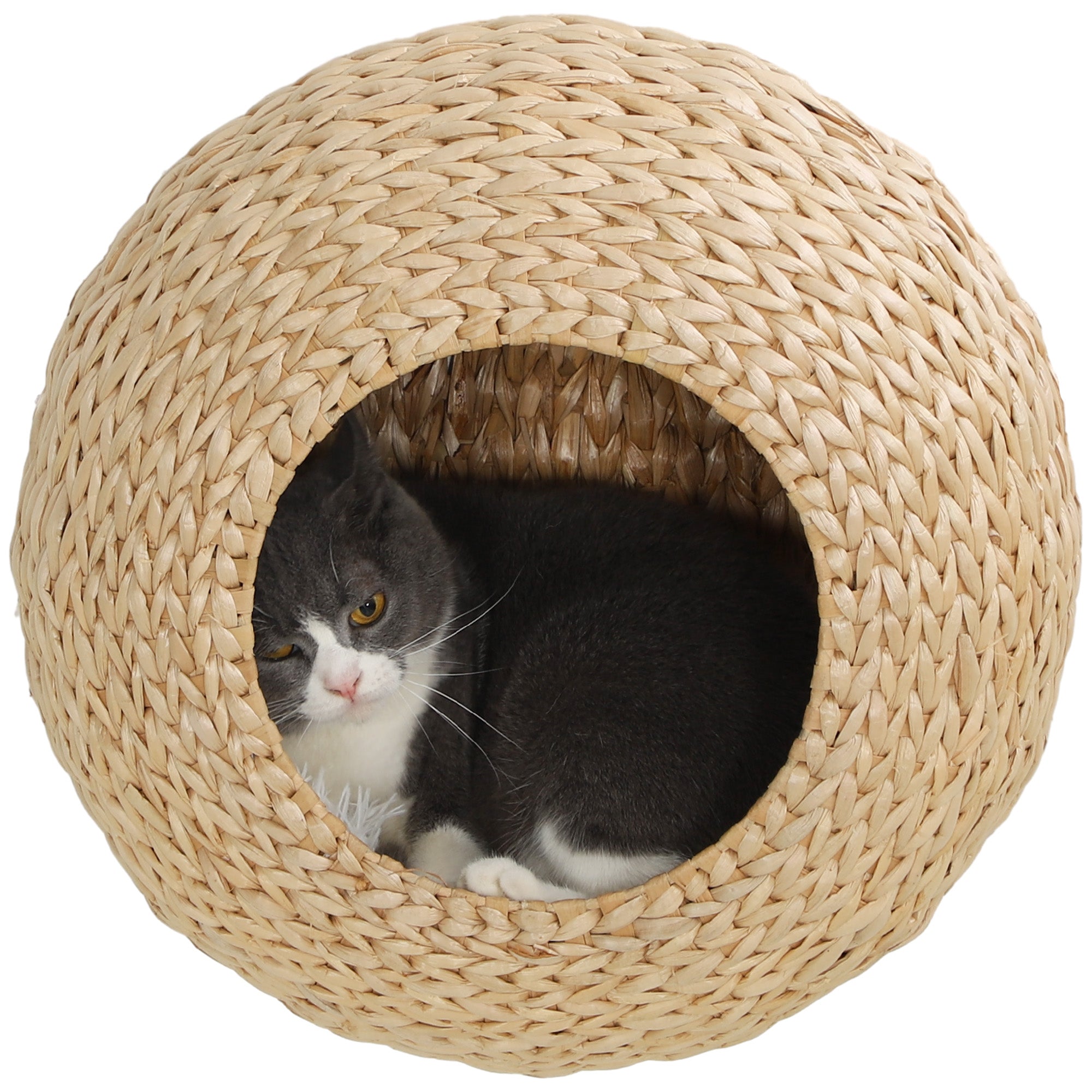 Cat Wall Shelf with Washable Cushion, Wall Mounted Cat Condo Furniture for Indoor Kittens, Beige-Cats-DECOROLALA