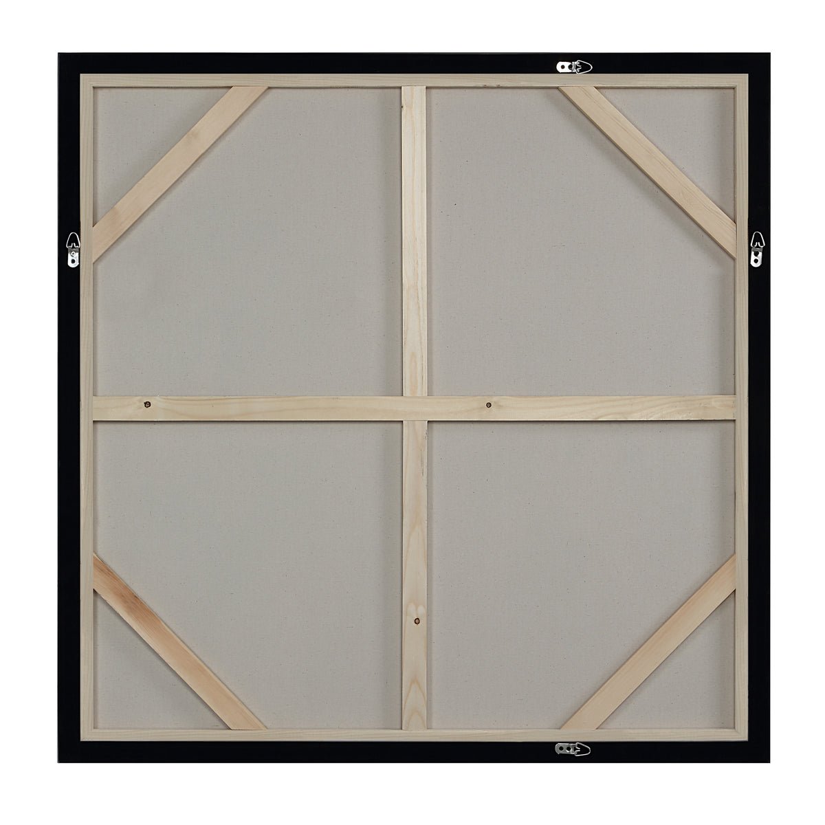 Celba 45" H x 45" W Canvas Art, White-Canvas Prints-DECOROLALA