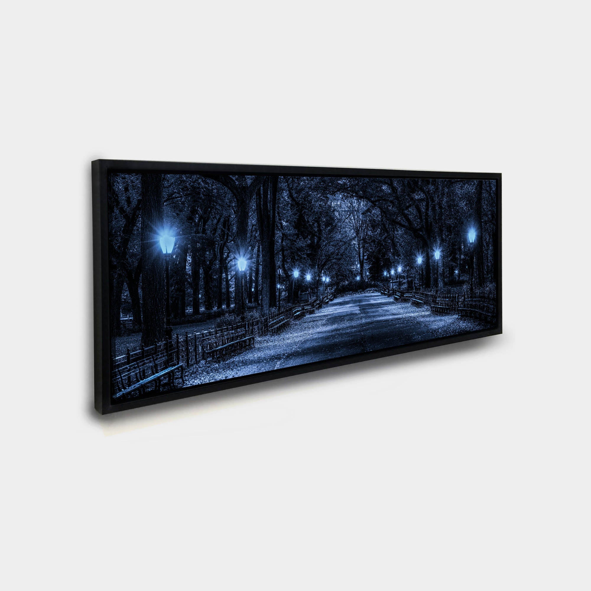 Central Park 72" x 24" Fine Art Canvas-Canvas Print-DECOROLALA