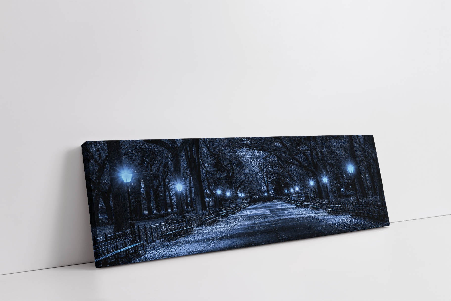 Central Park 72" x 24" Fine Art Canvas-Canvas Print-DECOROLALA